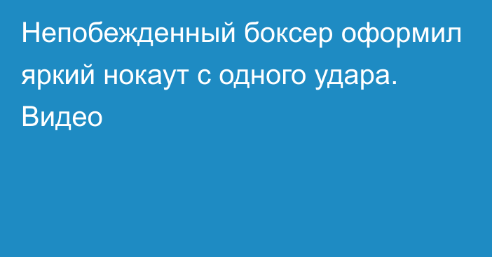 Непобежденный боксер оформил яркий нокаут с одного удара. Видео