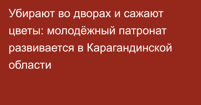 Убирают во дворах и сажают цветы: молодёжный патронат развивается в Карагандинской области