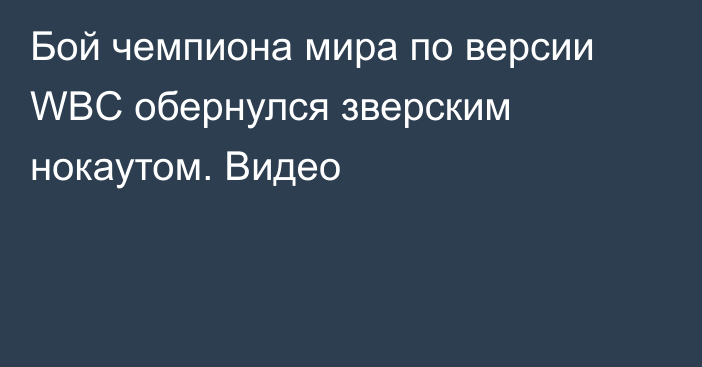 Бой чемпиона мира по версии WBC обернулся зверским нокаутом. Видео