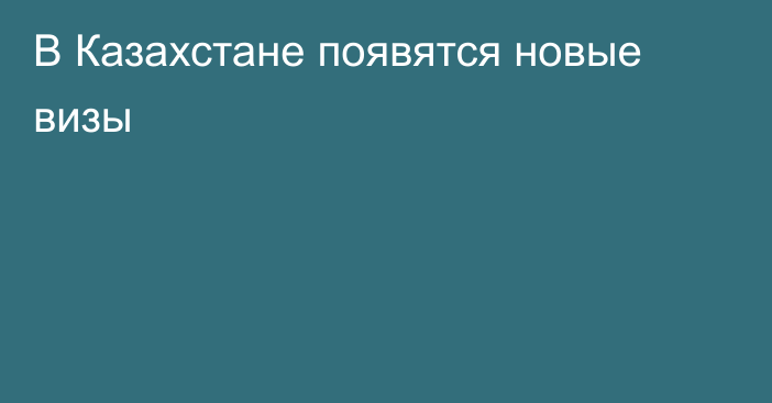 В Казахстане появятся новые визы