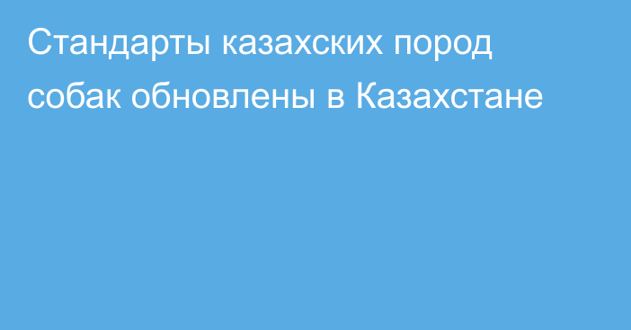 Стандарты казахских пород собак обновлены в Казахстане