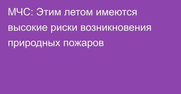 МЧС: Этим летом имеются высокие риски возникновения природных пожаров