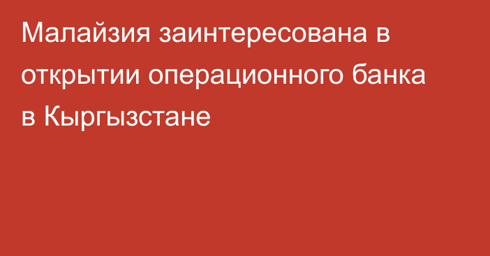 Малайзия заинтересована в открытии операционного банка в Кыргызстане