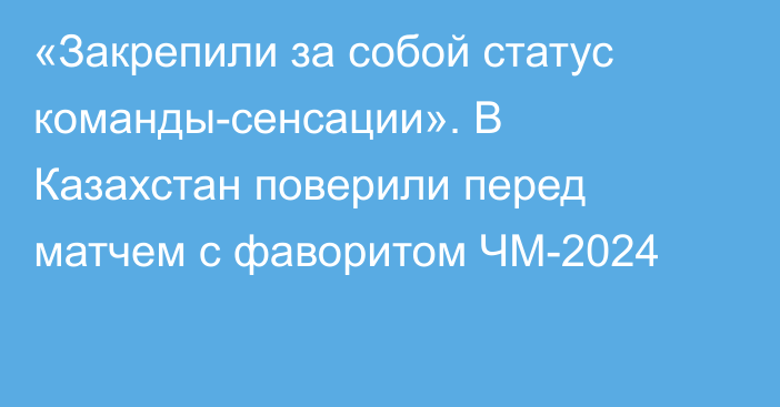 «Закрепили за собой статус команды-сенсации». В Казахстан поверили перед матчем с фаворитом ЧМ-2024