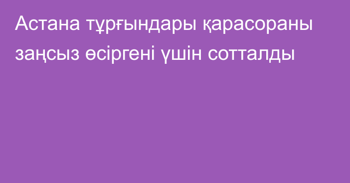 Астана тұрғындары қарасораны заңсыз өсіргені үшін сотталды