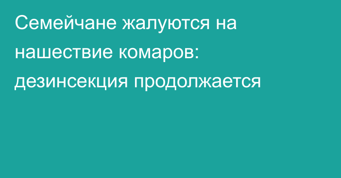 Семейчане жалуются на нашествие комаров: дезинсекция продолжается