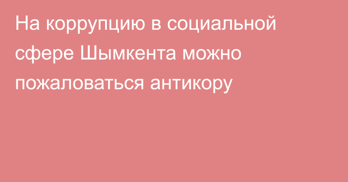 На коррупцию в социальной сфере Шымкента можно пожаловаться антикору