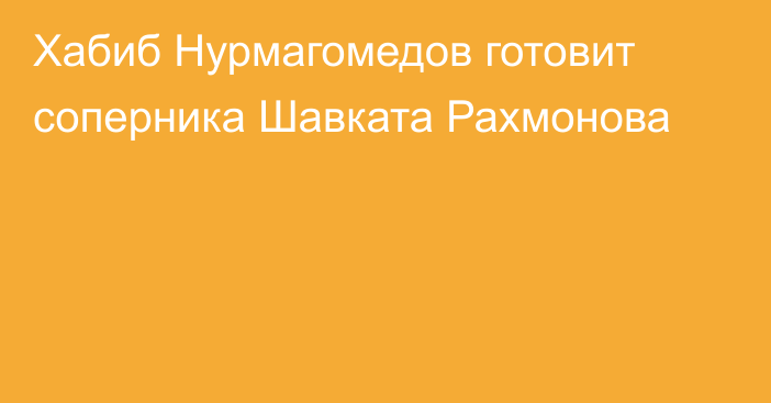 Хабиб Нурмагомедов готовит соперника Шавката Рахмонова