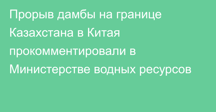 Прорыв дамбы на границе Казахстана в Китая прокомментировали в Министерстве водных ресурсов