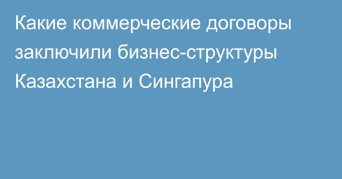 Какие коммерческие договоры заключили бизнес-структуры Казахстана и Сингапура