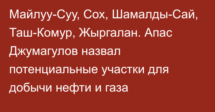 Майлуу-Суу, Сох, Шамалды-Сай, Таш-Комур, Жыргалан. Апас Джумагулов назвал потенциальные участки для добычи нефти и газа 