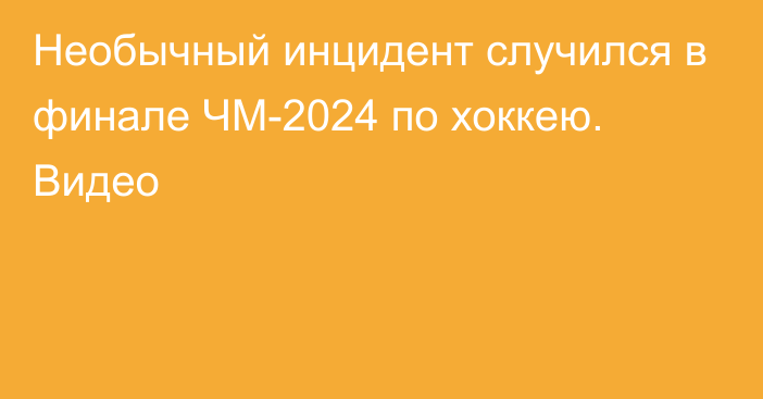 Необычный инцидент случился в финале ЧМ-2024 по хоккею. Видео