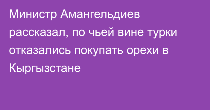 Министр Амангельдиев рассказал, по чьей вине турки отказались покупать орехи в Кыргызстане