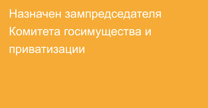 Назначен зампредседателя Комитета госимущества и приватизации