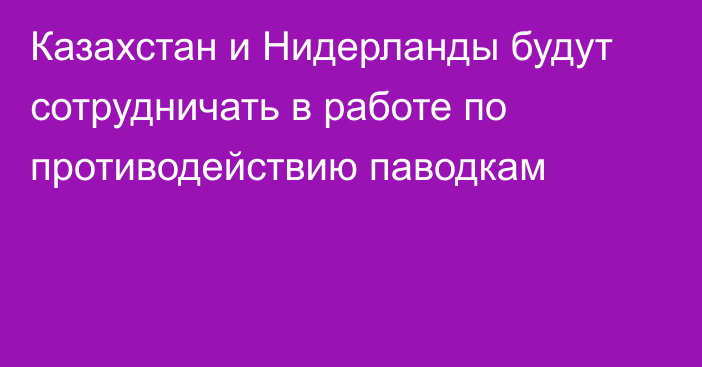 Казахстан и Нидерланды будут сотрудничать в работе по противодействию паводкам