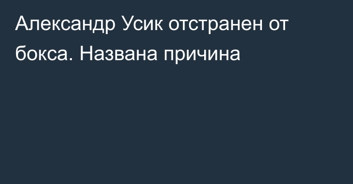 Александр Усик отстранен от бокса. Названа причина