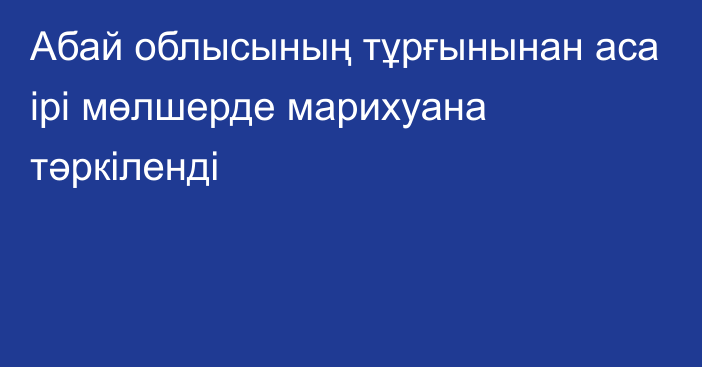 Абай облысының тұрғынынан аса ірі мөлшерде марихуана тәркіленді