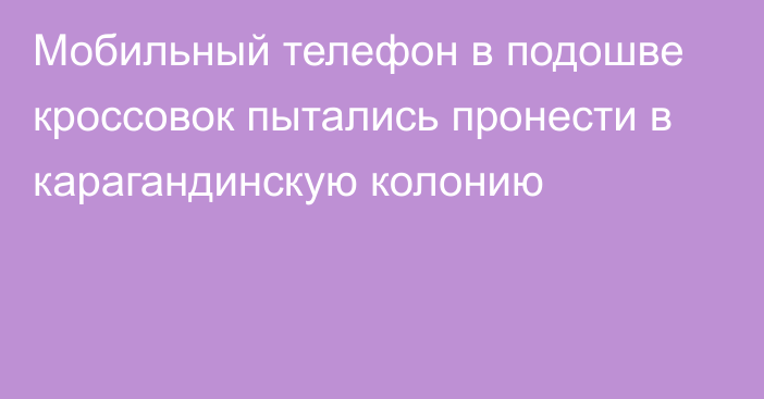 Мобильный телефон в подошве кроссовок пытались пронести в карагандинскую колонию