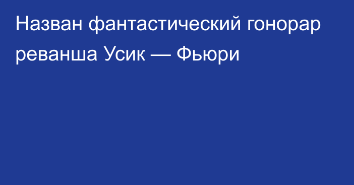 Назван фантастический гонорар реванша Усик — Фьюри