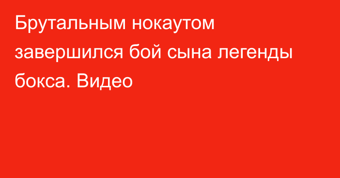 Брутальным нокаутом завершился бой сына легенды бокса. Видео