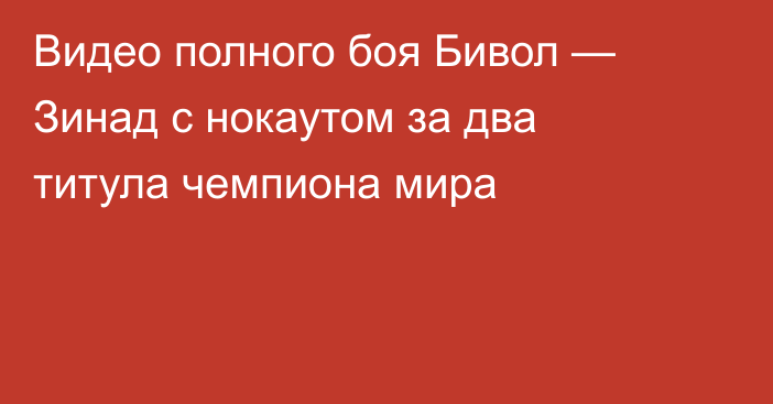 Видео полного боя Бивол — Зинад с нокаутом за два титула чемпиона мира