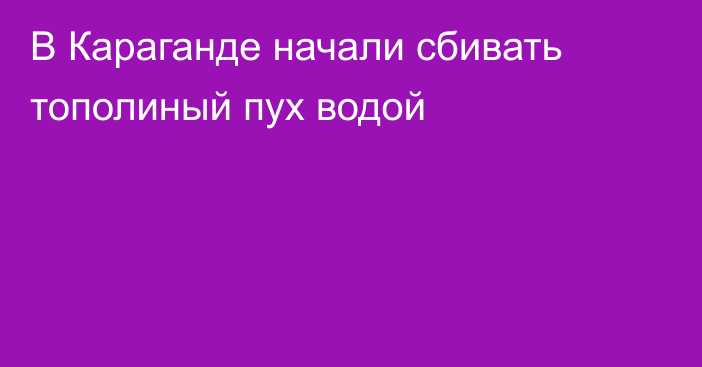 В Караганде начали сбивать тополиный пух водой