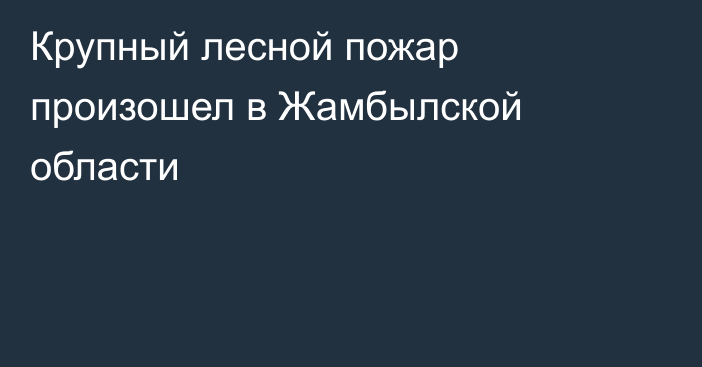 Крупный лесной пожар произошел в Жамбылской области