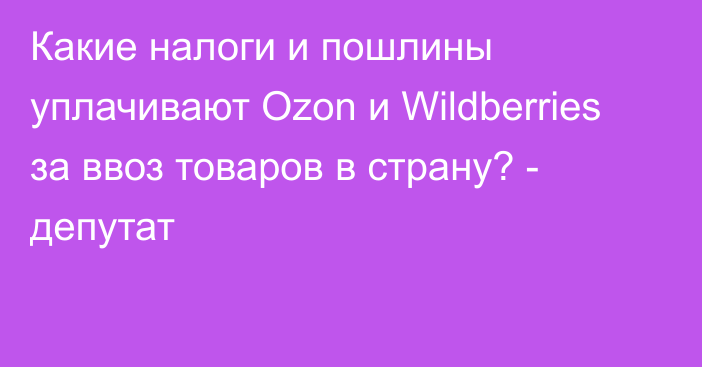 Какие налоги и пошлины уплачивают Ozon и Wildberries за ввоз товаров в страну? - депутат