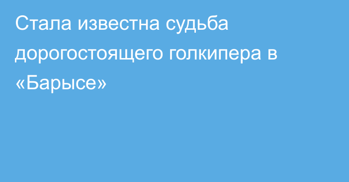 Стала известна судьба дорогостоящего голкипера в «Барысе»