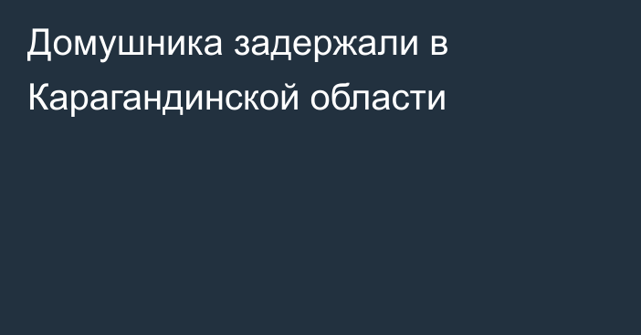 Домушника задержали в Карагандинской области