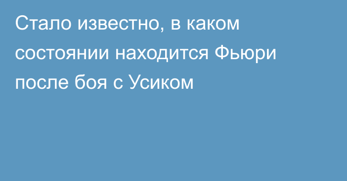 Стало известно, в каком состоянии находится Фьюри после боя с Усиком