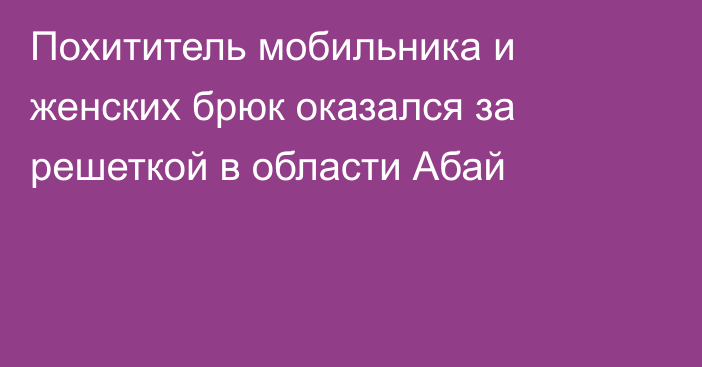 Похититель мобильника и женских брюк оказался за решеткой в области Абай