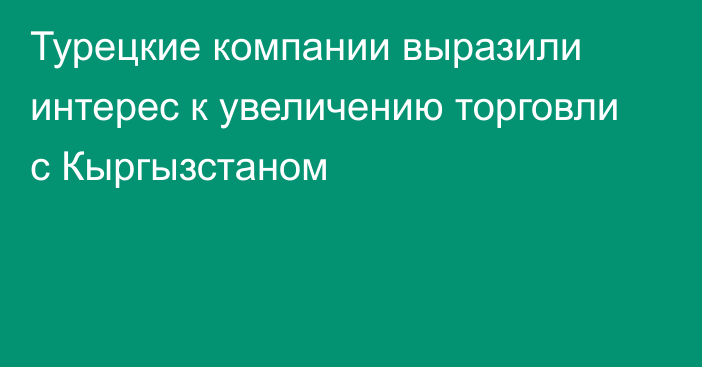 Турецкие компании выразили интерес к увеличению торговли с Кыргызстаном