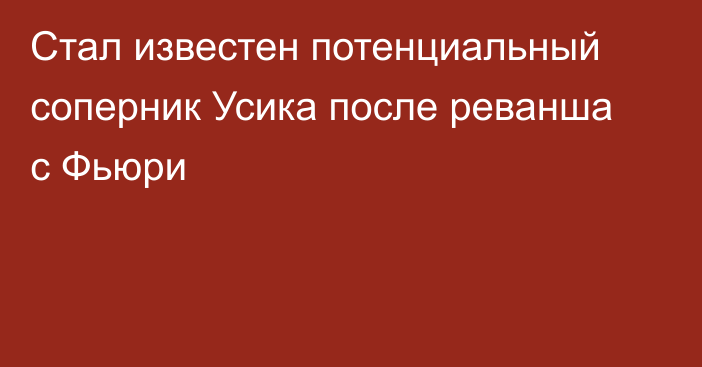 Стал известен потенциальный соперник Усика после реванша с Фьюри