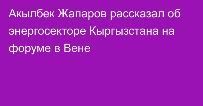 Акылбек Жапаров рассказал об энергосекторе Кыргызстана на форуме в Вене