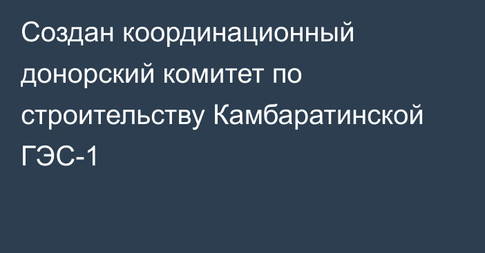 Создан координационный донорский комитет по строительству Камбаратинской ГЭС-1