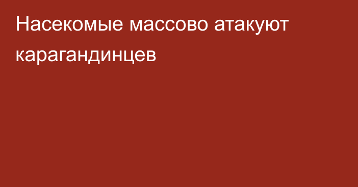 Насекомые массово атакуют карагандинцев