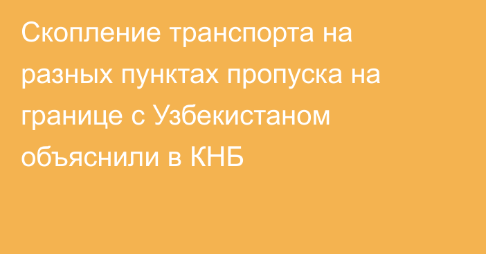 Скопление транспорта на разных пунктах пропуска на границе с Узбекистаном объяснили в КНБ