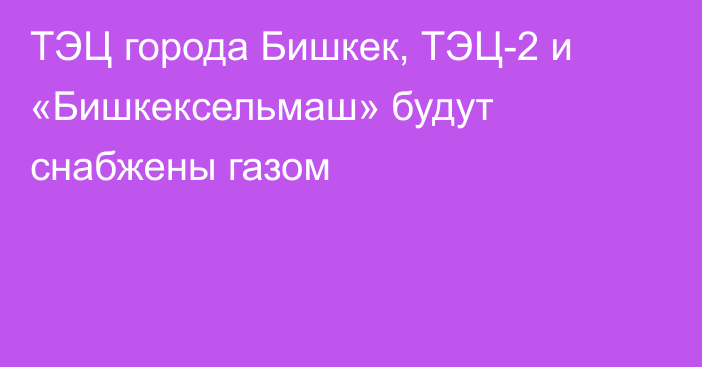 ТЭЦ города Бишкек, ТЭЦ-2 и «Бишкексельмаш» будут снабжены газом