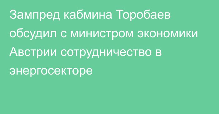 Зампред кабмина Торобаев обсудил с министром экономики Австрии сотрудничество в энергосекторе