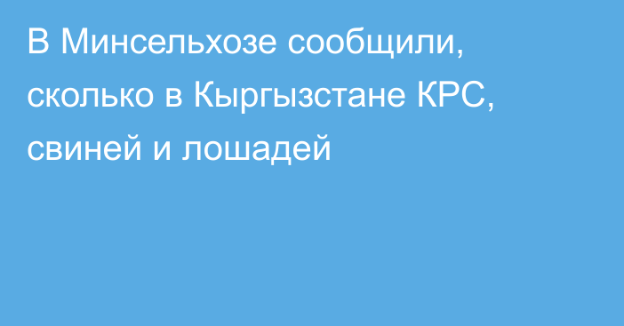 В Минсельхозе сообщили, сколько в Кыргызстане КРС, свиней и лошадей