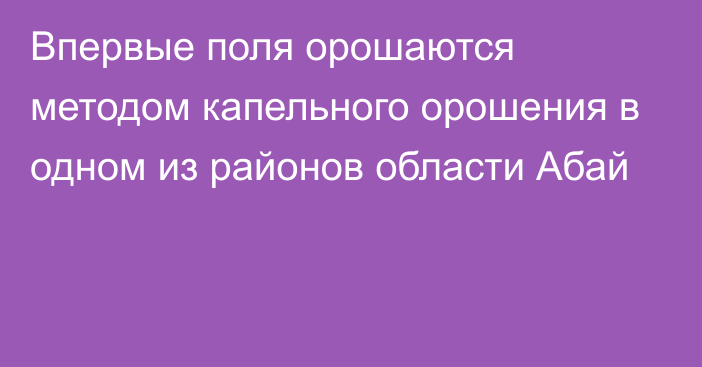 Впервые поля орошаются методом капельного орошения в одном из районов области Абай