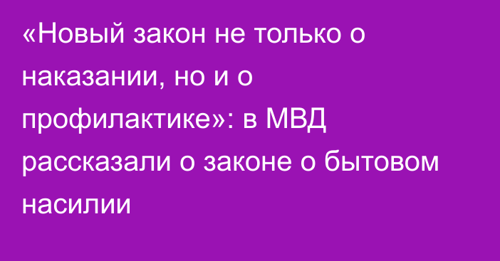 «Новый закон не только о наказании, но и о профилактике»: в МВД рассказали о законе о бытовом насилии