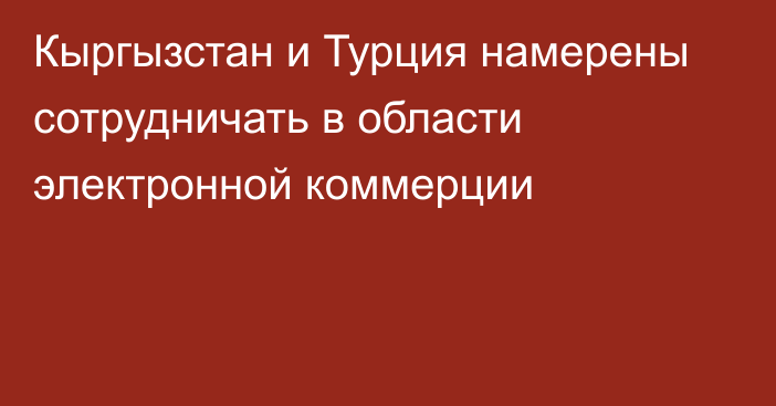 Кыргызстан и Турция намерены сотрудничать в области электронной коммерции