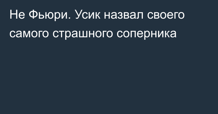 Не Фьюри. Усик назвал своего самого страшного соперника