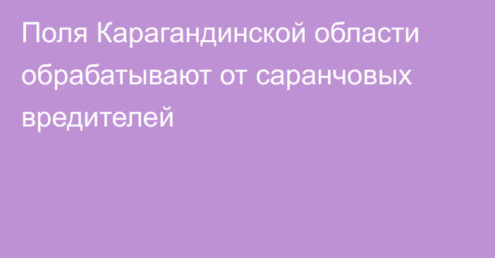 Поля Карагандинской области обрабатывают от саранчовых вредителей