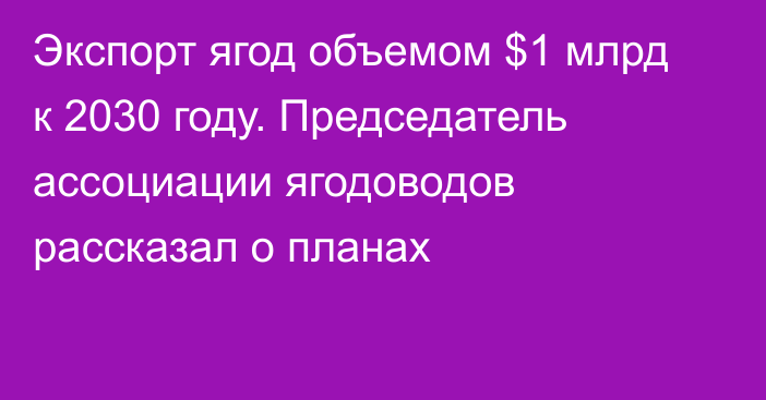 Экспорт ягод объемом $1 млрд к 2030 году. Председатель ассоциации ягодоводов рассказал о планах