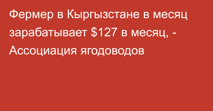 Фермер в Кыргызстане в месяц зарабатывает $127 в месяц, - Ассоциация ягодоводов