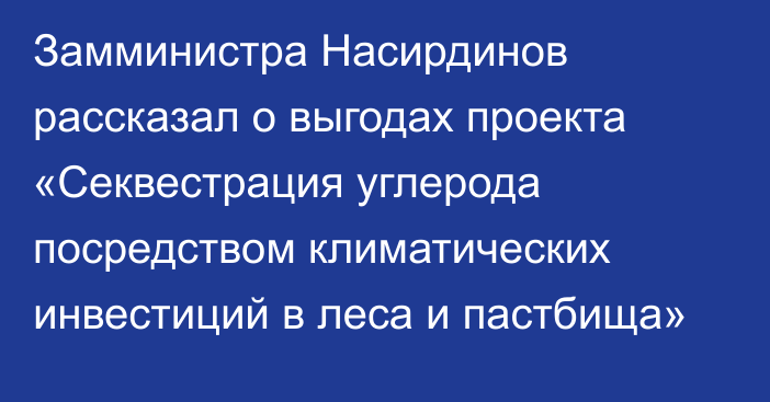 Замминистра Насирдинов рассказал о выгодах проекта «Секвестрация углерода посредством климатических инвестиций в леса и пастбища»