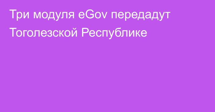 Три модуля eGov передадут Тоголезской Республике